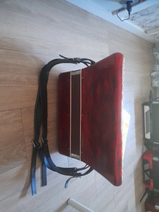 Fisarmonica Parrot 60 bassi