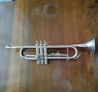 Trompeta Weril Plata Usada