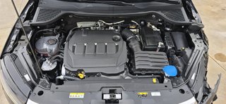 SKODA KAROQ AMBITION 2.0 TDI 115CV 6v 2023