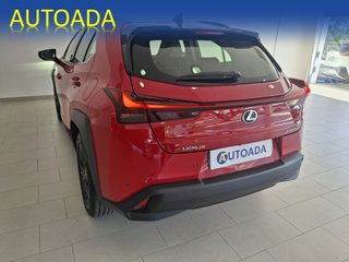 Lexus UX 2025