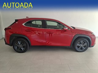 Lexus UX 2025