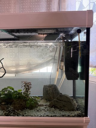 Acuario ICA 240L