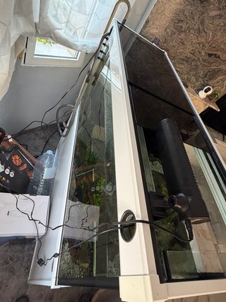 Acuario ICA 240L
