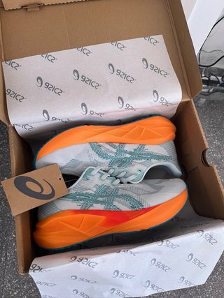 Asics Novablast 5 Talla 41.5