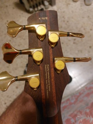 Basso Ibanez 5 corde