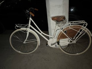 Bicicleta blanca estilo clásico