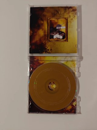 Alanis Morissette - Flavors of Entanglement CD