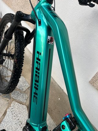 Bicicleta Eléctrica Montaña Haibike Allmountain 1