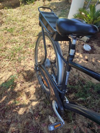 Bicicleta Eléctrica Urbana Paseo