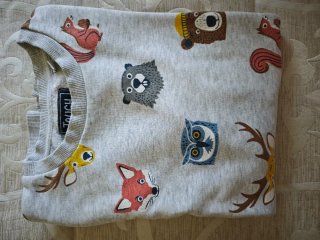 Lote Chollo Ropa Niño Talla 10 Años