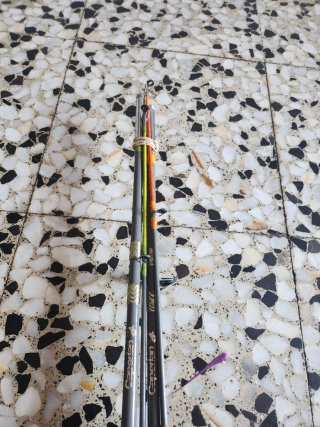 2 Cañas de Pesca con Carretes