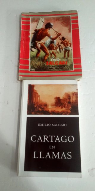 Lote 13 Libros de Emilio Salgari