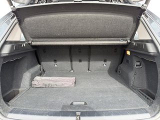 BMW X1 xDrive25e