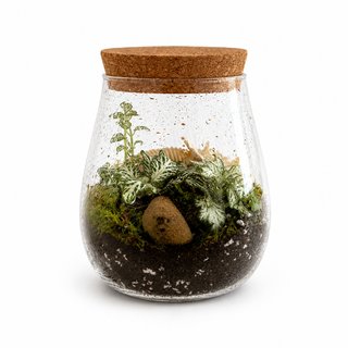 Terrario Niebla del Jurásico