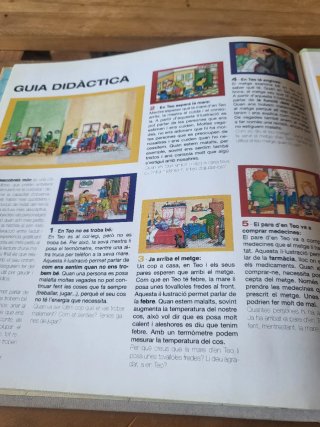 Teo va amb avió