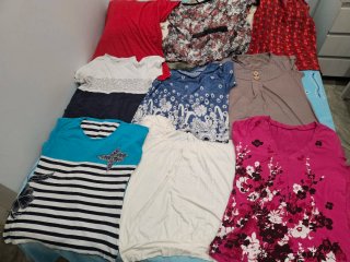 Lote de camisetas y blusas multicolor