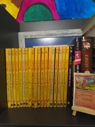 Colección diferentes libros Gerónimo Stilton Lote