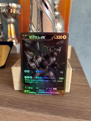 Zekrom EX 174/86 Carta Pokémon