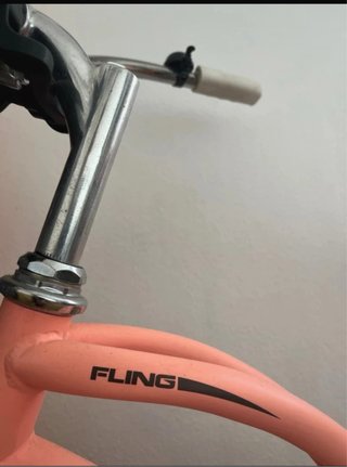 Bicicleta Schurinn Rosa Vintage
