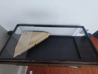 Acuario Terrario Tortugas