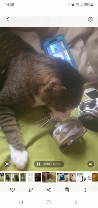 Robot Anki Cozmo