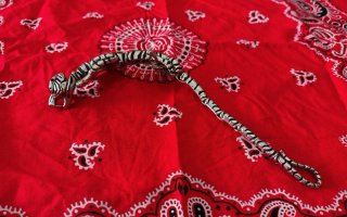 Pulsera articulada Tigre de Bengala Plata