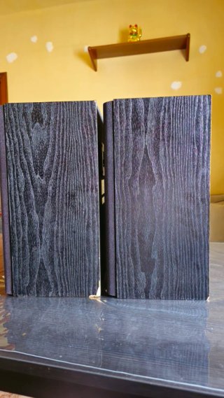 Altavoces HiFi Technics SB-F920