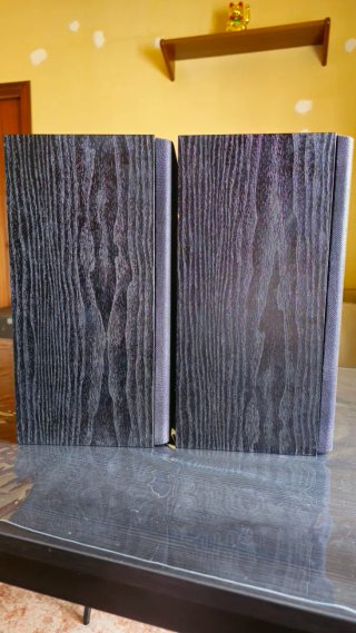 Altavoces HiFi Technics SB-F920