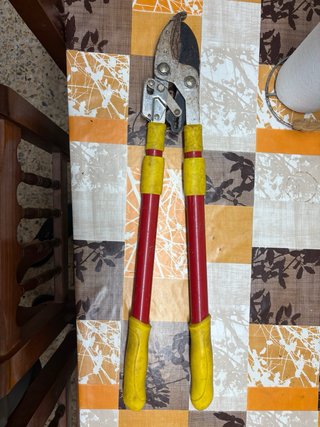 Cortarramas telescópico