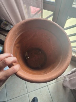 Vaso in resina  decorato circonferenza cm 24