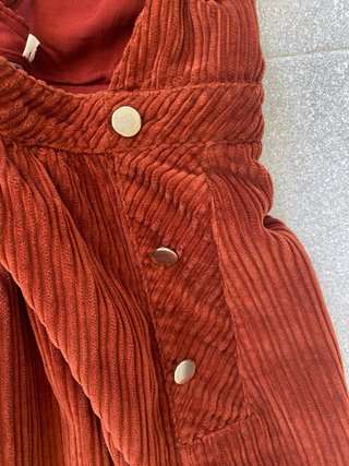 Pichi naranja de pana