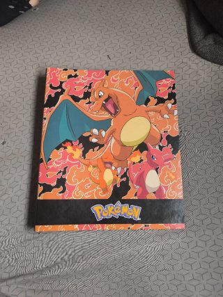 Cartas Pokémon y protectores