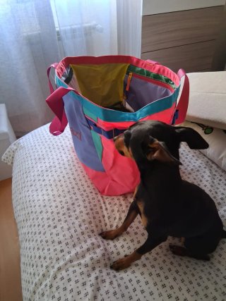 Bolso de playa Cotopaxi multicolor