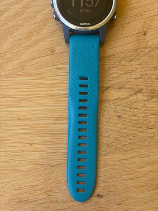 Garmin Fenix 5S