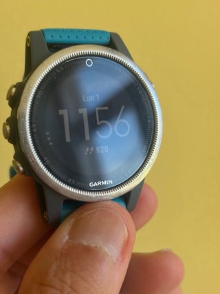 Garmin Fenix 5S
