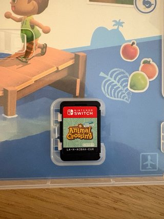 Nintendo Switch + Animal Crossing
