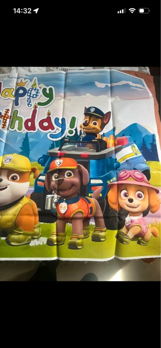 Decoração Aniversário Patrulha Pata