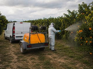 servicio profesional de sulfato agricola