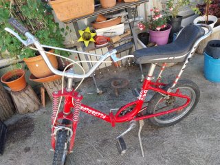 Bicicleta Motoretta Gac 16