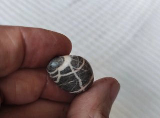 Collezione di pietre in lotto