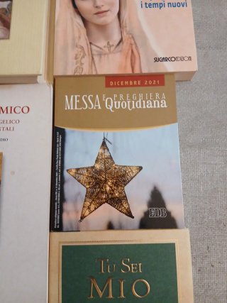 Lotto Libri Religiosi Padre Livio Bibbia