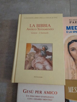 Lotto Libri Religiosi Padre Livio Bibbia