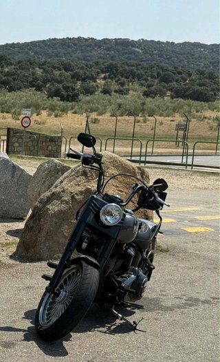 Harley-Davidson Cruiser Negra/Gris