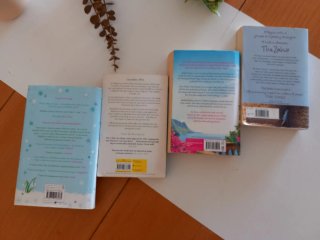 Lote 4 Novelas en inglés Bestseller libros