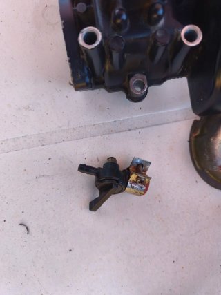 Despiece motor Tohatsu 3.3cv