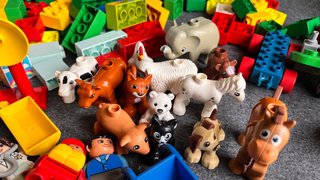 Lotto Lego Duplo 2,5kg Figure Animali e Veicoli