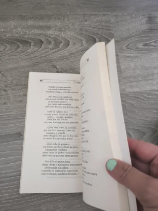 Literatura feminina e feminista da segunda meta...