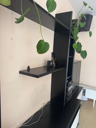 Mueble salón: Vitrina, mesa televisor, armario...