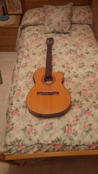 Guitarra Ibanez Acústica