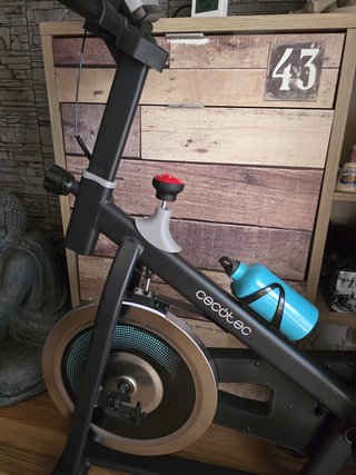 Bicicleta Estática cecoted